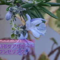 高齢者ケアサポートカウンセリング ヘッダー